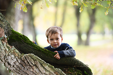 Marie Photographe : garcon-arbre
